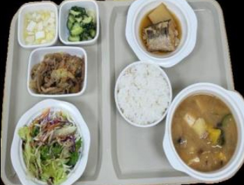 산모 영양 관리